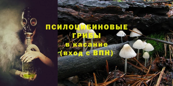 гидропоника Гусев